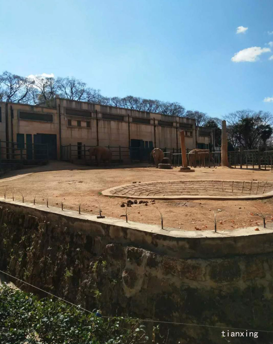 圓通山動物 圓通山動物