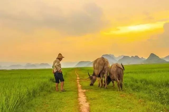 昆明文山普者黑研學 昆明文山普者黑研學