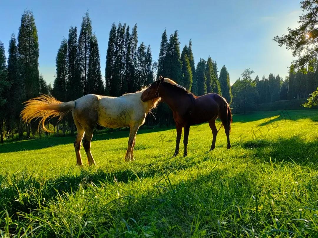 得樂農(nóng)莊 得樂農(nóng)莊