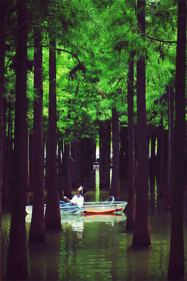 云南旅游,云南旅行社,云南團建公司,云南策劃公司,云南會議會展,昆明旅游,昆明旅行社,昆明團建公司,昆明策劃公司：下午四點的撈漁河森林游船 真是人類光合作用必去清單