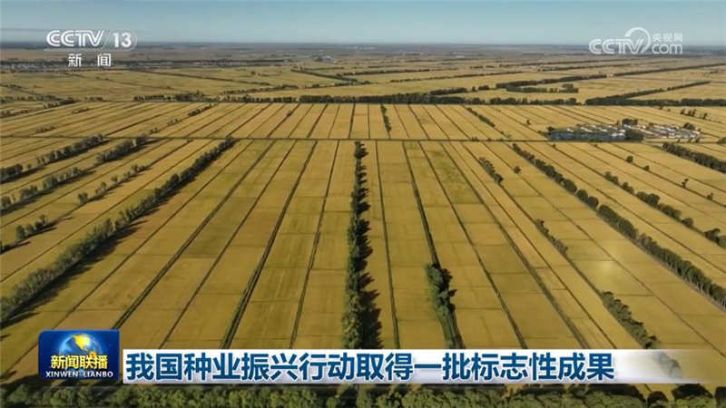 [視頻]我國種業(yè)振興行動取得一批標(biāo)志性成果_2025-10-25_19_22_08.jpg