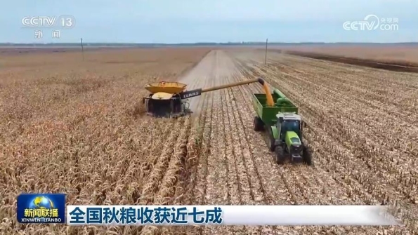 [視頻]全國秋糧收獲近七成_2025-10-19_19_24_09.jpg