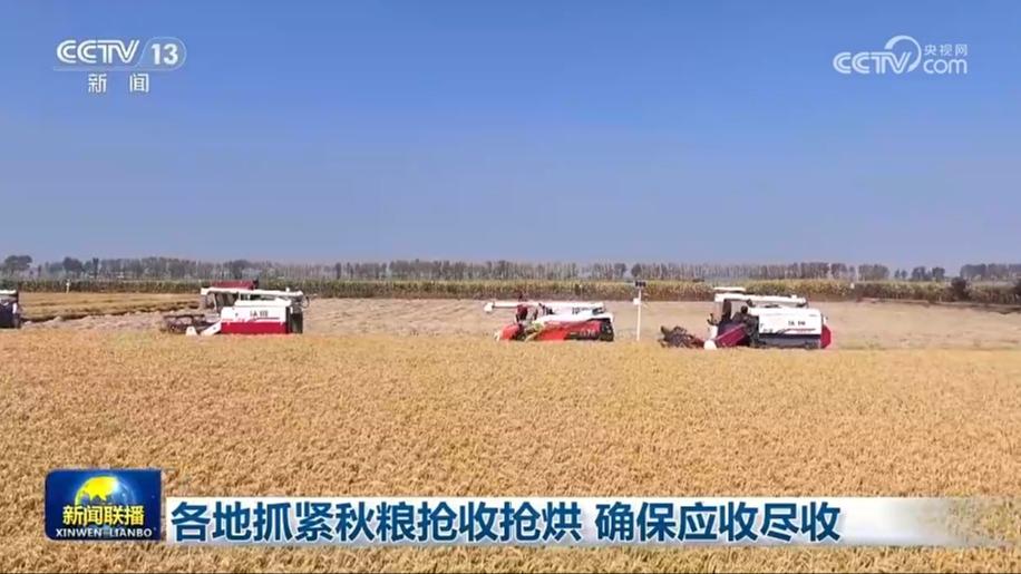 [視頻]各地抓緊秋糧搶收搶烘_確保應收盡收_2025-10-18_19_21_40.jpg