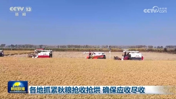 [視頻]各地抓緊秋糧搶收搶烘_確保應收盡收_2025-10-18_19_21_40.jpg